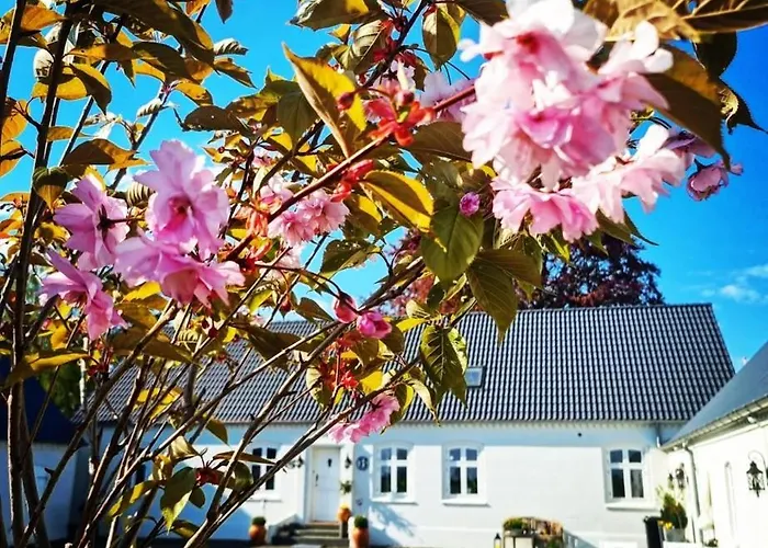 Birkelund BnB